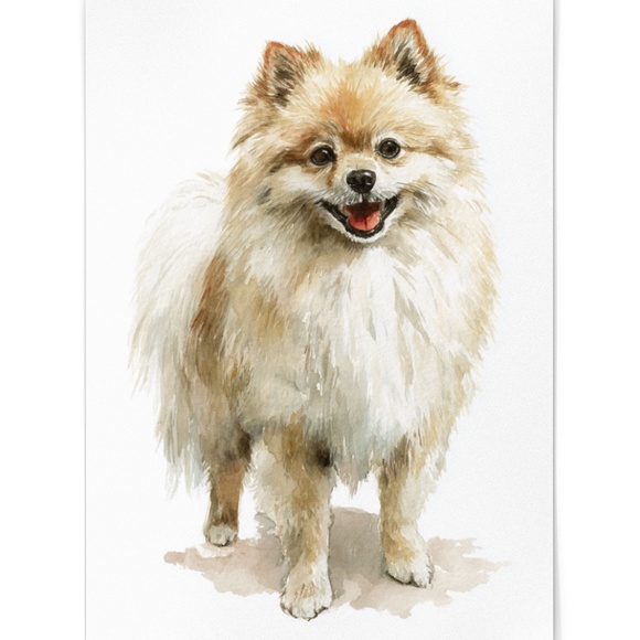 Watercolor Pomeranian Dog Portrait Art Print – Unframed Fine Art Poster - Picture 2 of 5